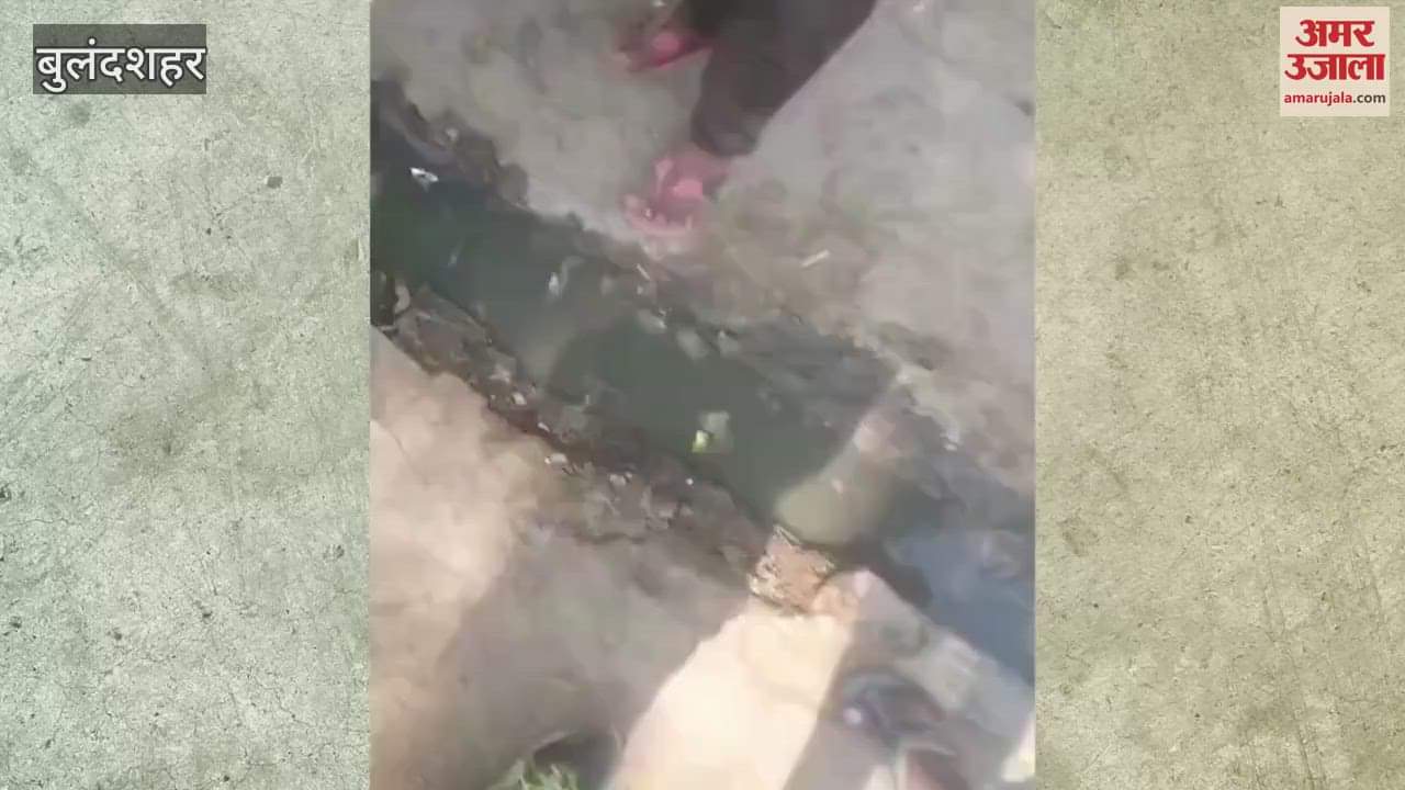 VIDEO : Video of a villager assaulting a team of the electricity department in Bulandshahr goes viral on social media