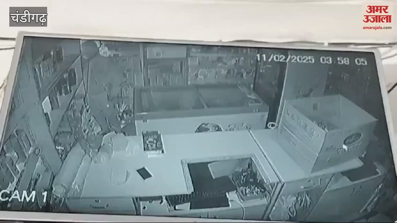 VIDEO : Three masked men broke locks of five shops in Chandigarh