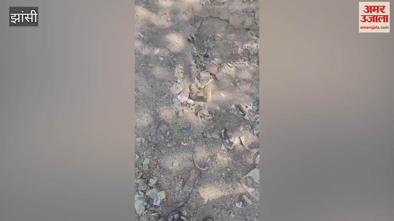 VIDEO : Bomb shells found while cleaning the pond