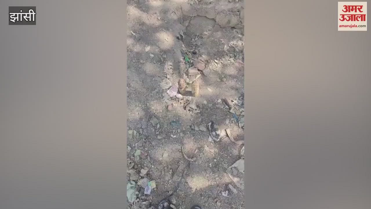 VIDEO : Bomb shells found while cleaning the pond