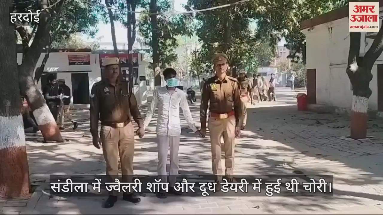 VIDEO : Thief caught with jewellery within 24 hours