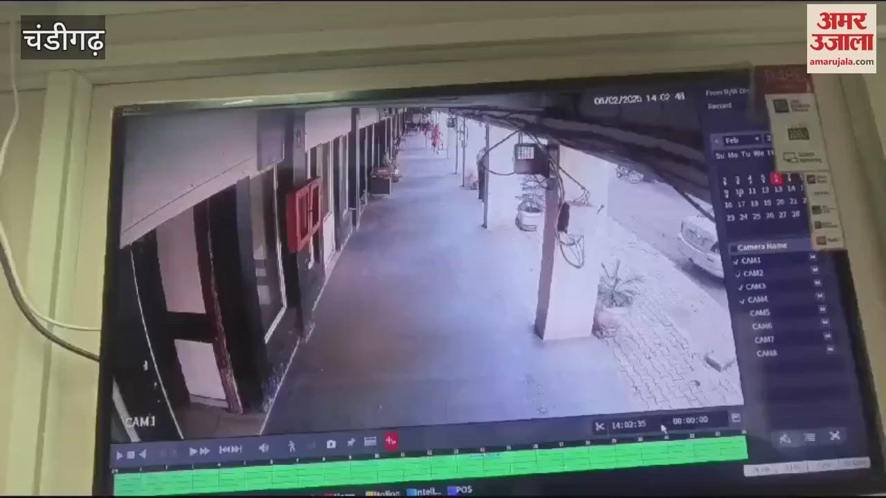 VIDEO : In Chandigarh, two robbers disguised as sadhus hypnotized a car rider and robbed him of his gold chain