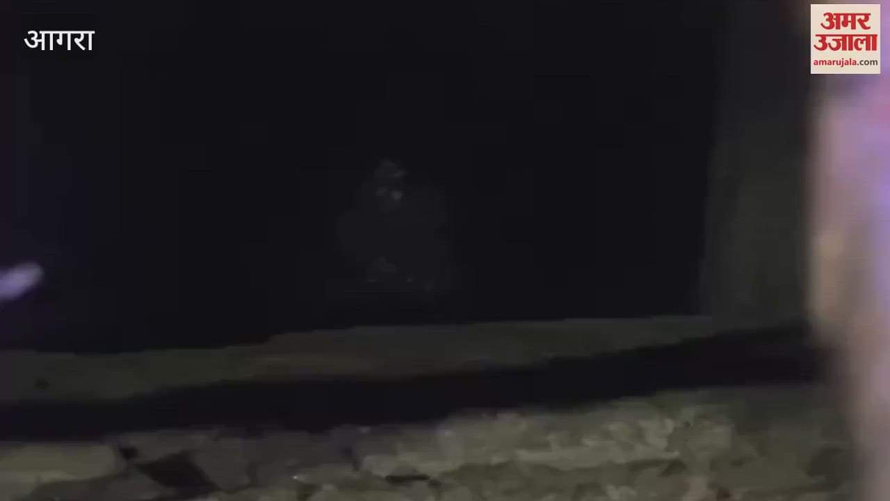 VIDEO : So much water suddenly came into the well which had been dry for 40 years