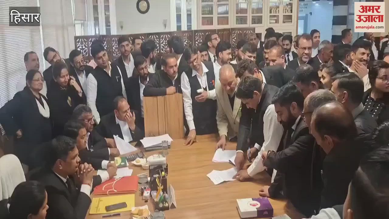 VIDEO : 25 candidates are in the fray for Hisar Bar Association elections, 8 candidates will contest for the post of president