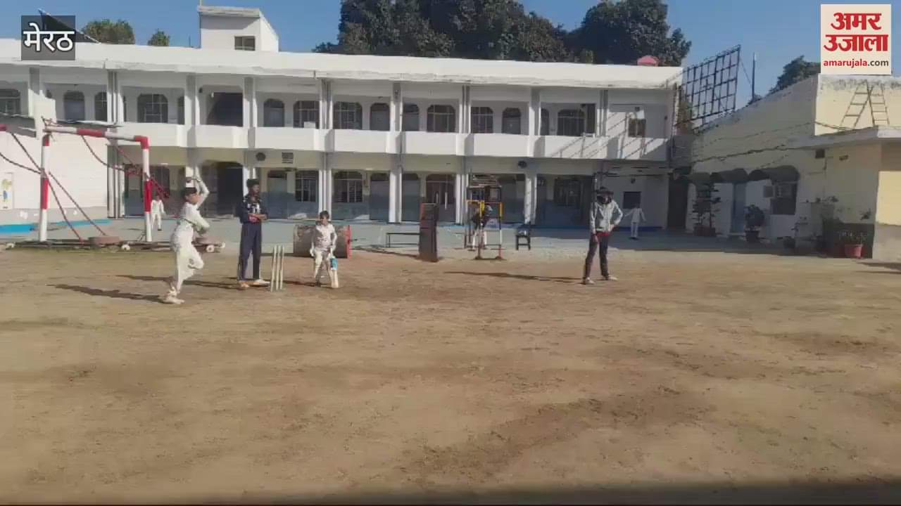 VIDEO : Meerut: Double wicket cricket tournament organized
