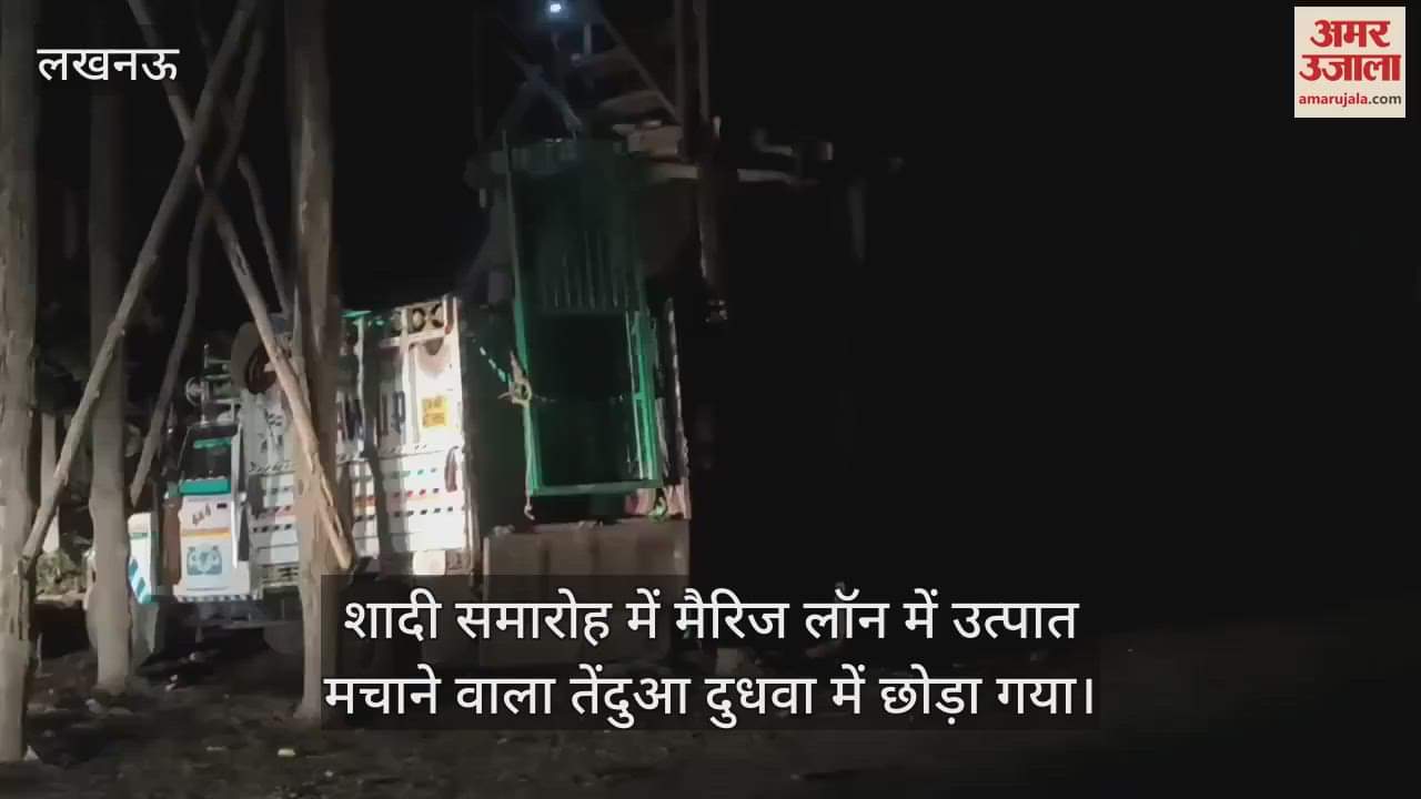 VIDEO : शादी समारोह में मैरिज लॉन में उत्पात मचाने वाला तेंदुआ दुधवा में छोड़ा गया