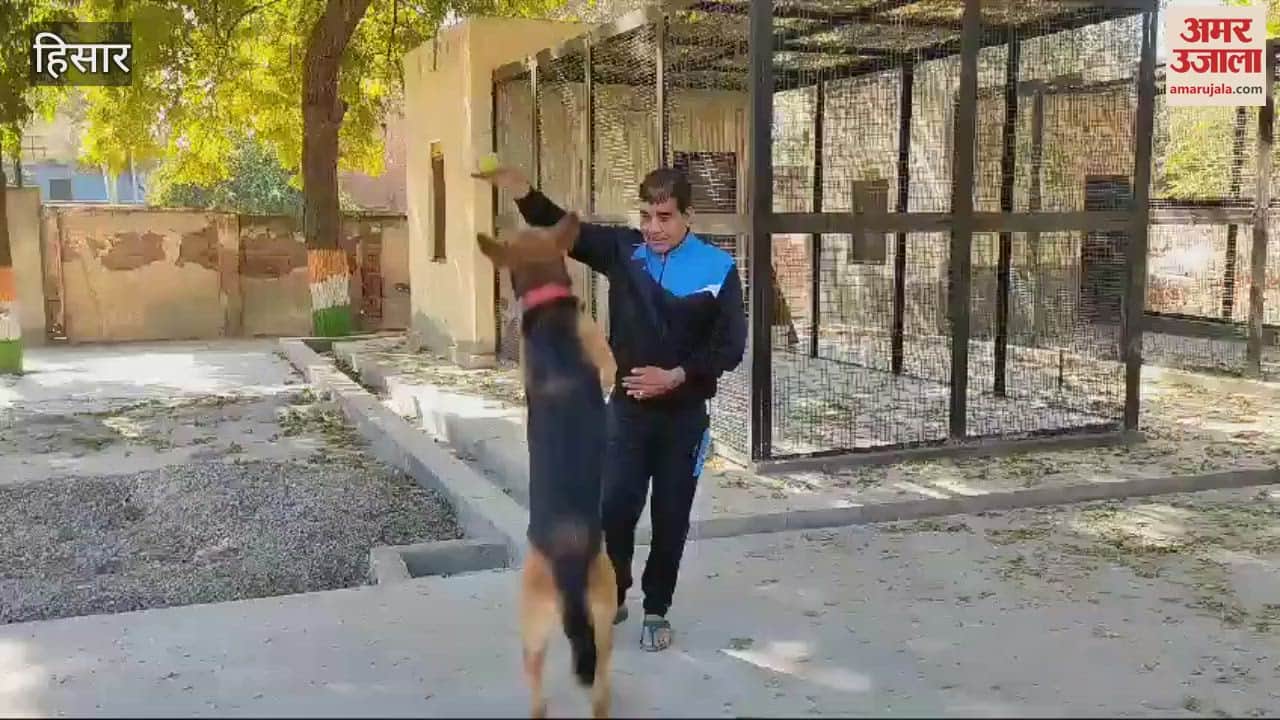 VIDEO : Raja Dog, an expert in solving theft cases in Hisar, is working hard for three hours every day to become a champion again