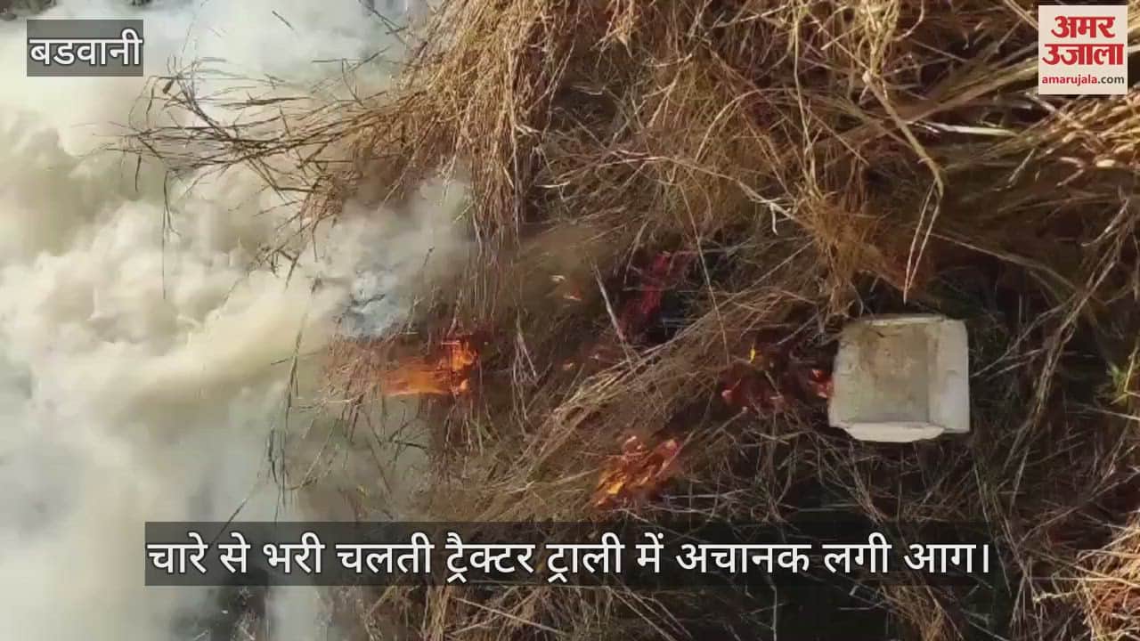 Barwani News tractor-trolley loaded with fodder caught fire cattle fodder burnt poor widow got assurance help