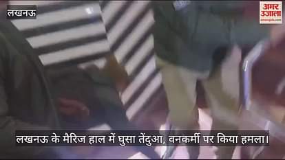 VIDEO : लखनऊ के मैरिज हाल में घुसा तेंदुआ, वनकर्मी पर किया हमला