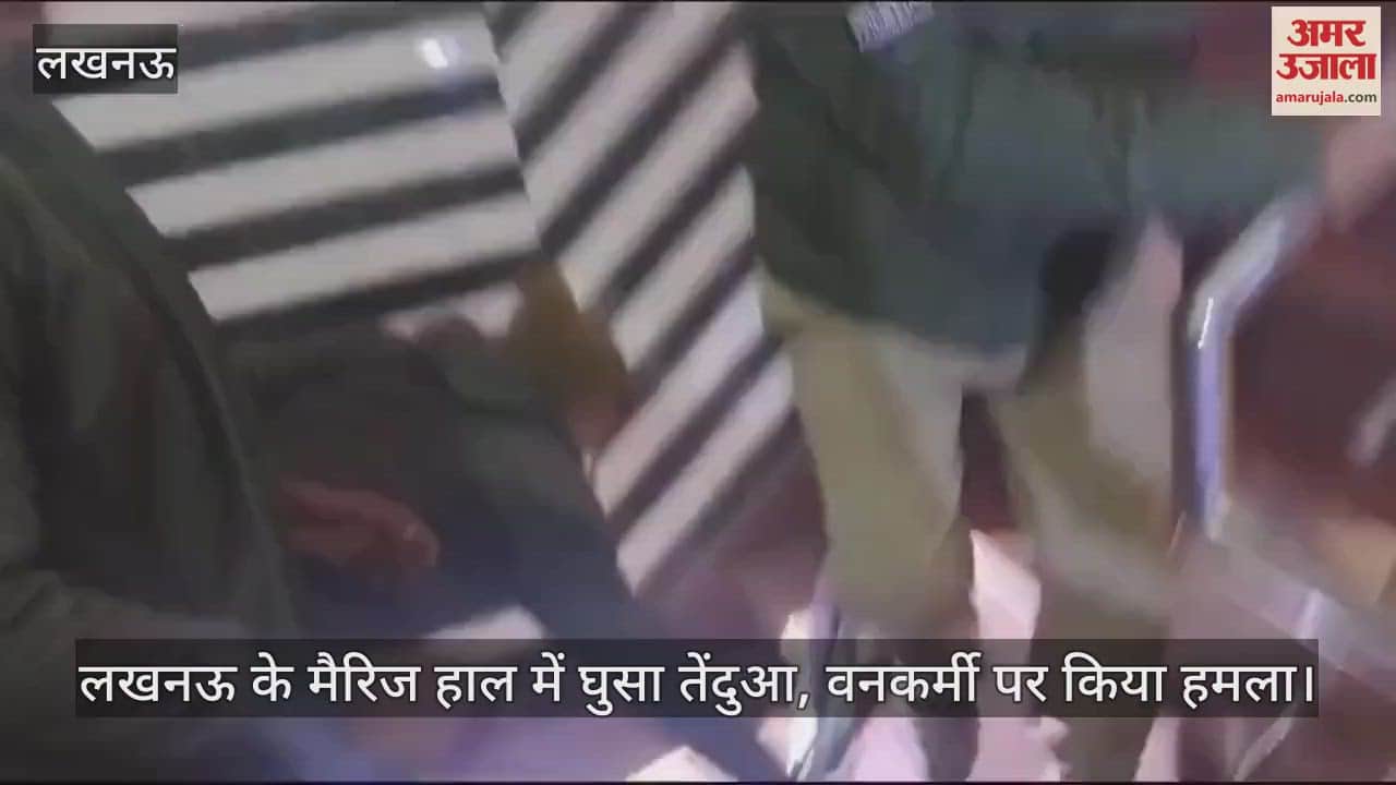 VIDEO : लखनऊ के मैरिज हाल में घुसा तेंदुआ, वनकर्मी पर किया हमला