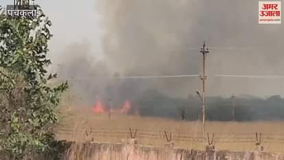 VIDEO : Fire broke out in the forests near TBRL campus in front of Panchkula Bhanu ITBP