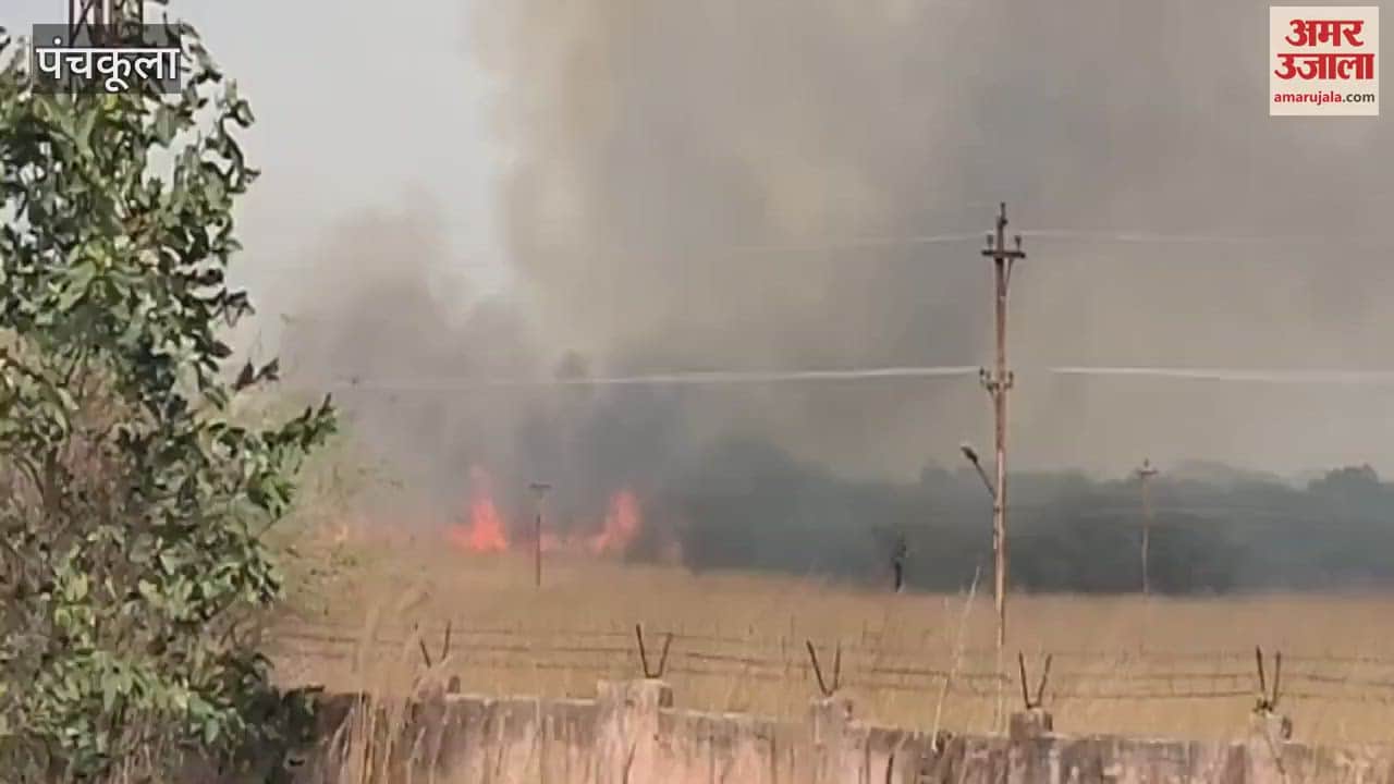 VIDEO : Fire broke out in the forests near TBRL campus in front of Panchkula Bhanu ITBP