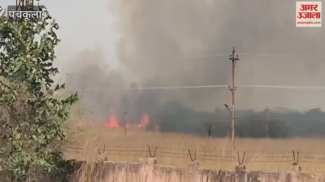 VIDEO : Fire broke out in the forests near TBRL campus in front of Panchkula Bhanu ITBP