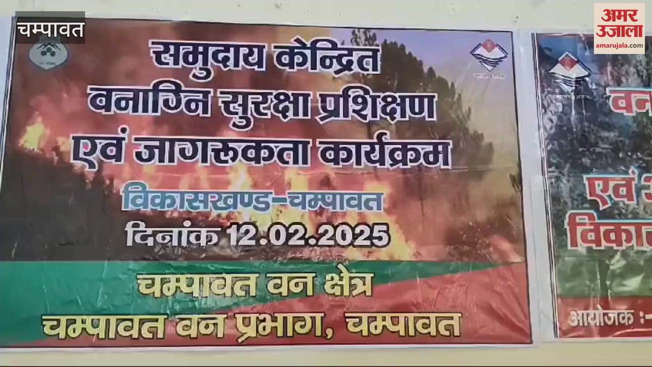 VIDEO : सामूहिक प्रयास से ही आग से बचेंगे जंगल