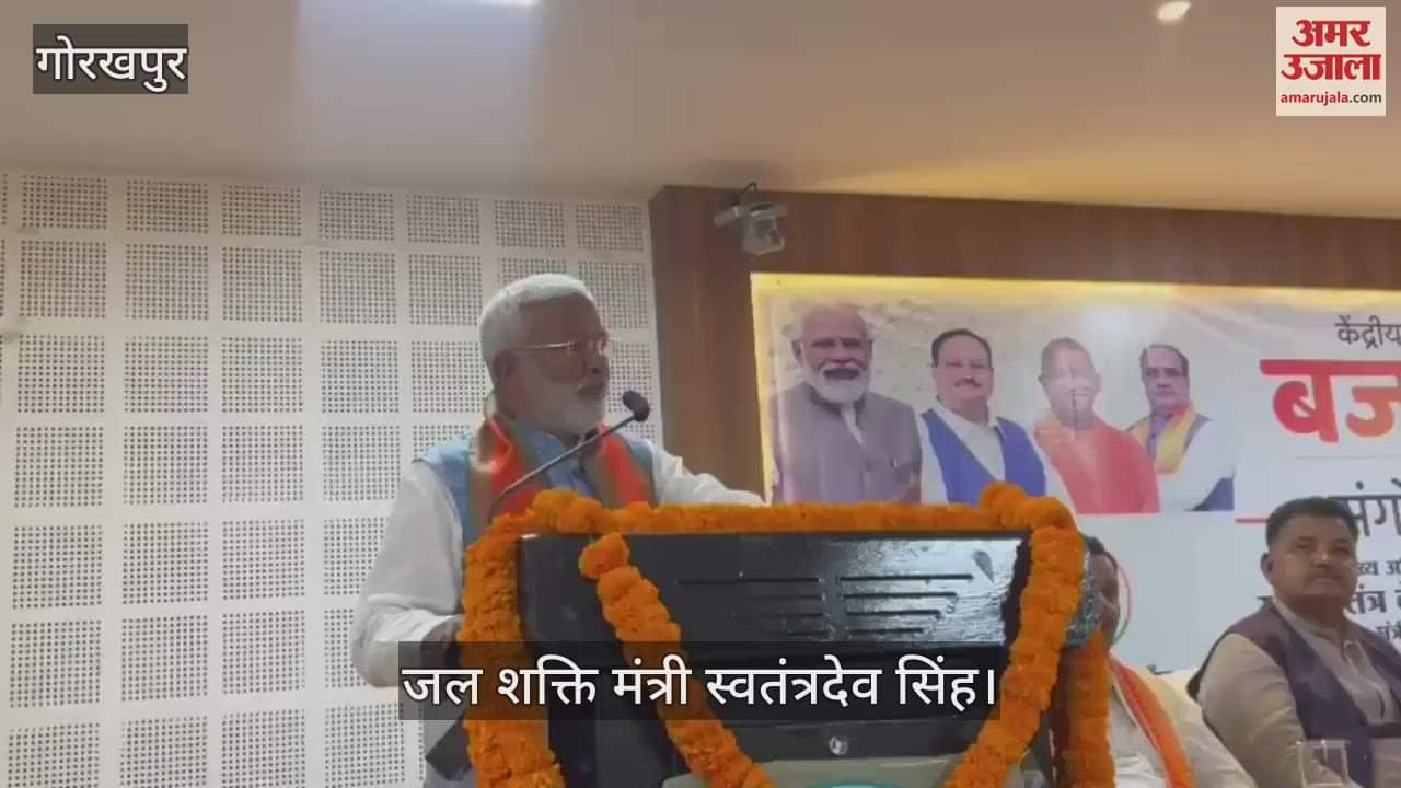 VIDEO : Middle class budget will provide strength in India's development: Swatantradev Singh