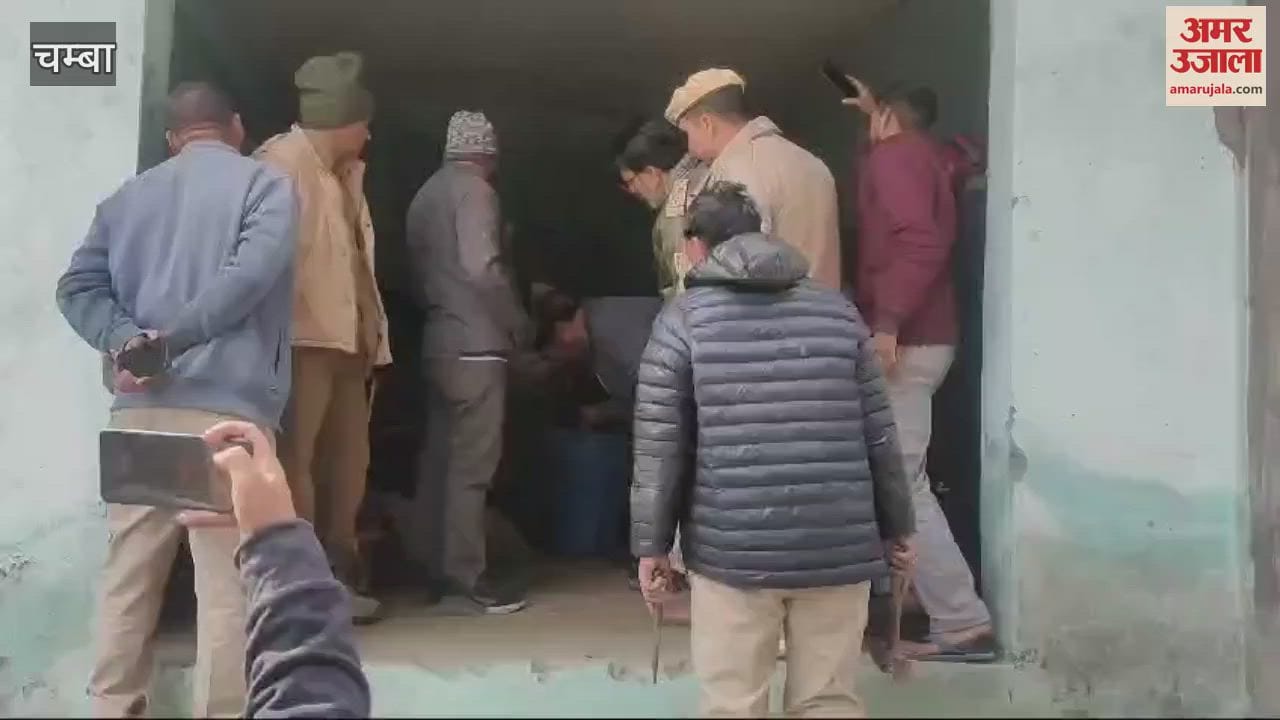 VIDEO : The roots of Kashmal were hidden illegally, the forest department team broke the lock