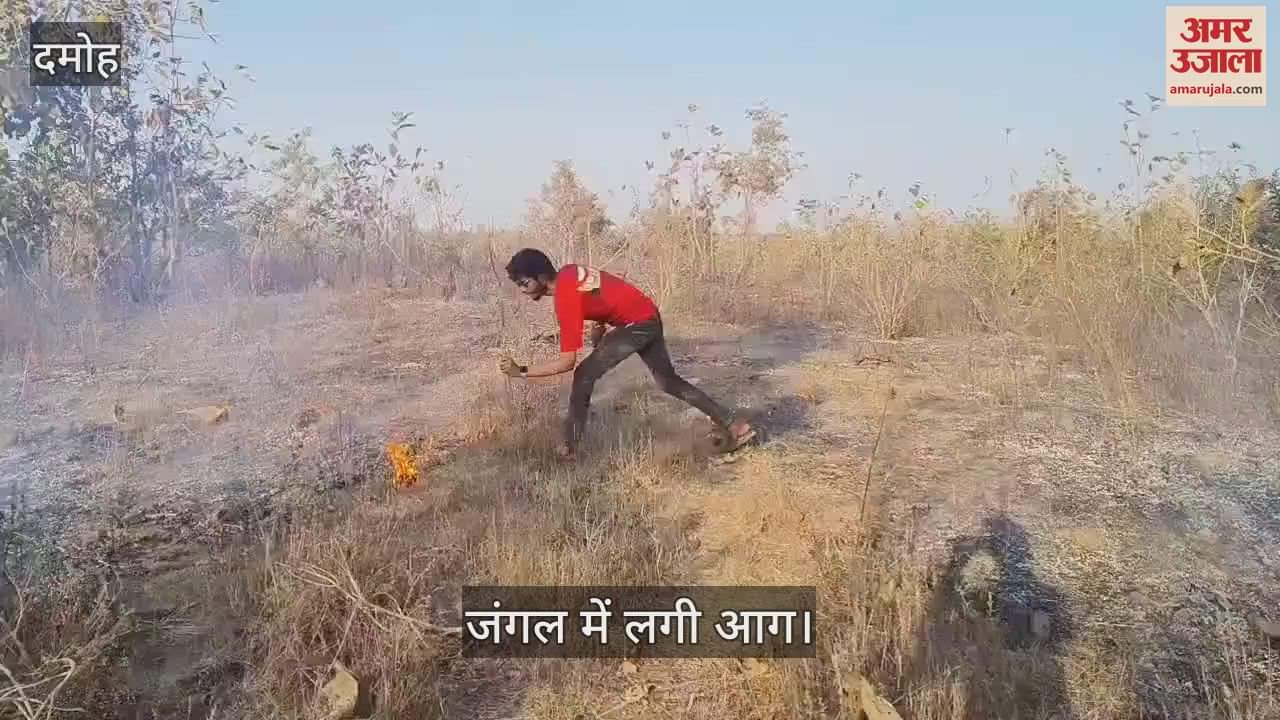 The fire in the forest of Padri was brought under control after six hours of effort