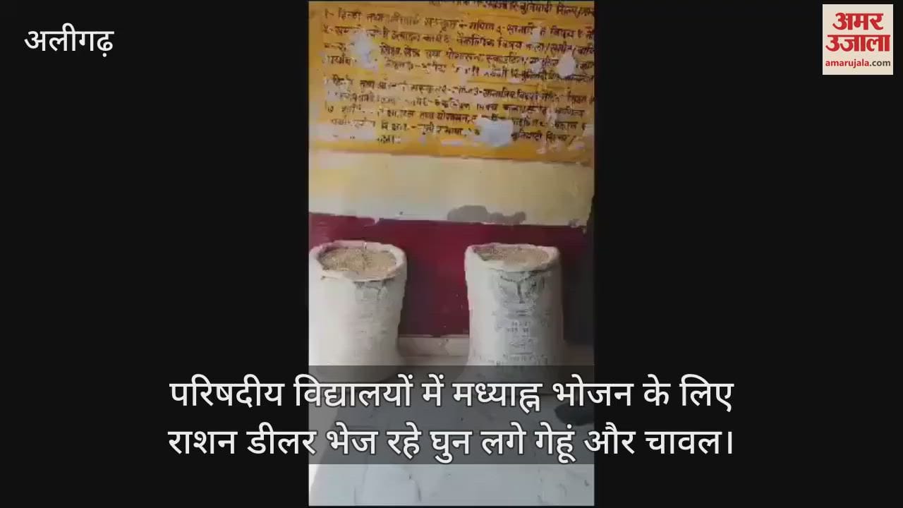 VIDEO : परिषदीय विद्यालयों में मध्याह्न भोजन के लिए राशन डीलर भेज रहे घुन लगे गेहूं और चावल