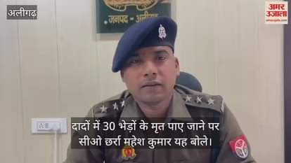 VIDEO : दादों में 30 भेड़ों के मृत पाए जाने पर सीओ छर्रा महेश कुमार यह बोले