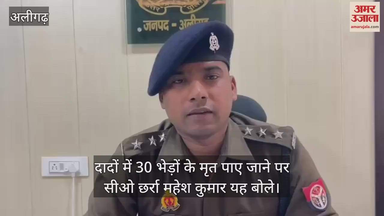 VIDEO : दादों में 30 भेड़ों के मृत पाए जाने पर सीओ छर्रा महेश कुमार यह बोले