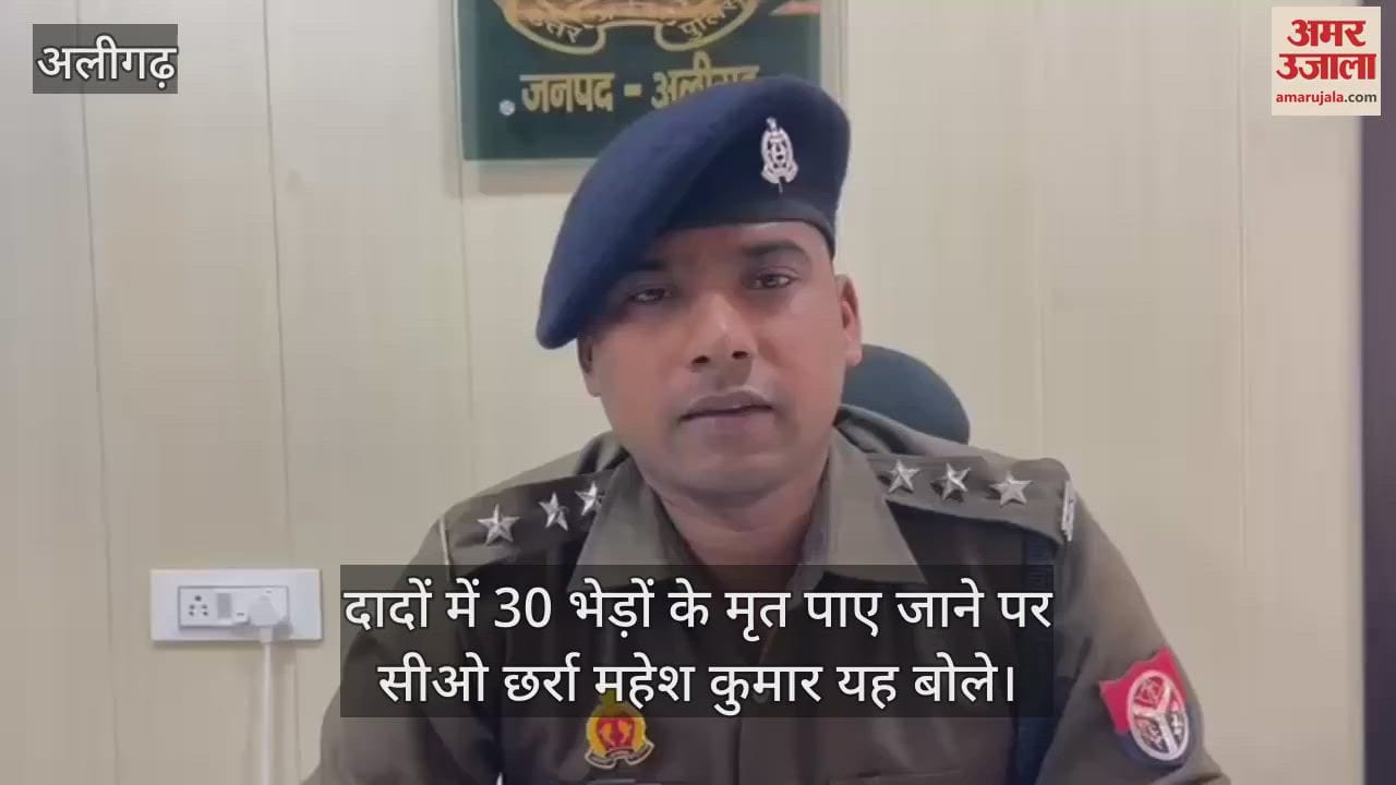 VIDEO : दादों में 30 भेड़ों के मृत पाए जाने पर सीओ छर्रा महेश कुमार यह बोले