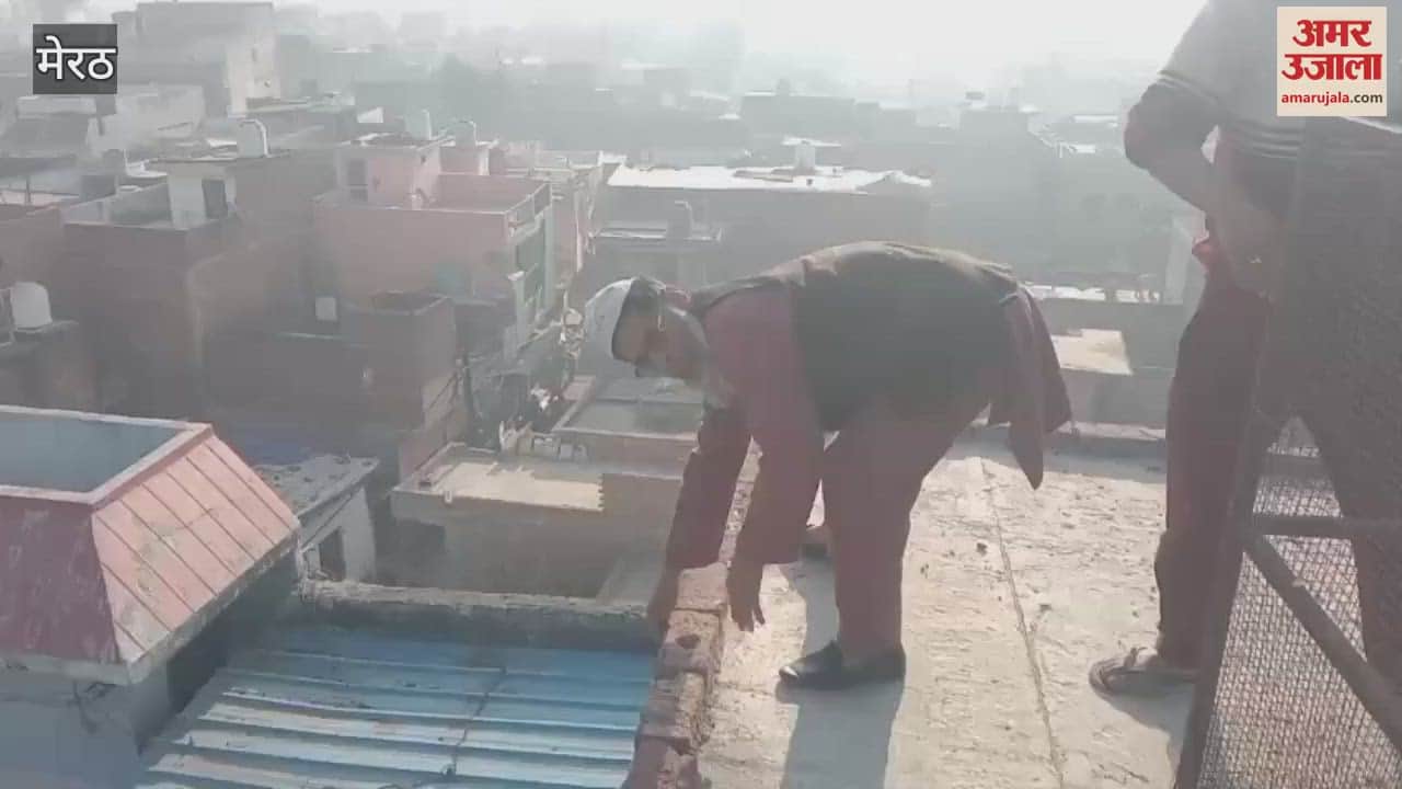 VIDEO : Meerut: 400 Indigenous-foreign pigeons worth Rs 10 lakh stolen