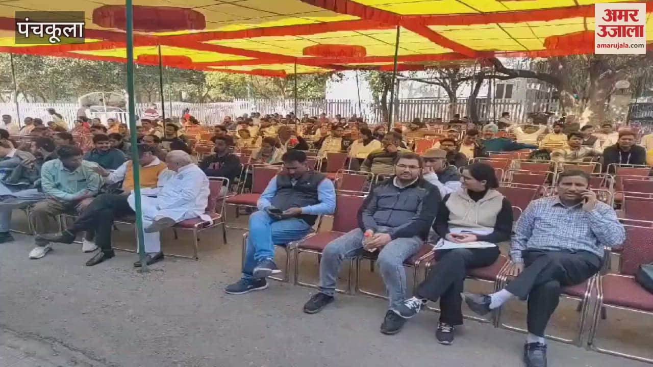 VIDEO : पंचकूला में डीजी ऑफिस में वेरिफिकेशन करवाने पहुंचे डॉक्टर