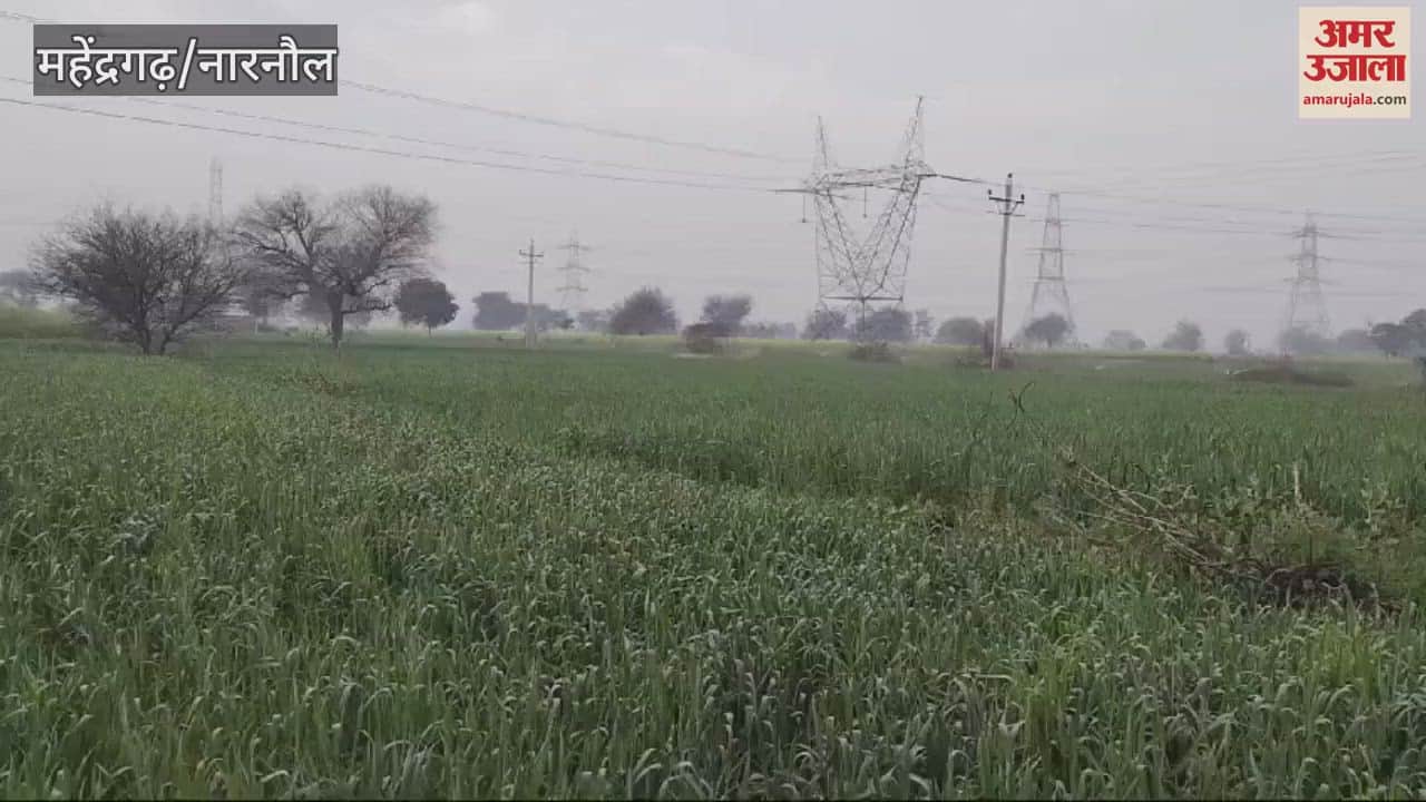 VIDEO : महेंद्रगढ़ में सुबह हुई बूंदाबादी, दिनभर खिली धूप