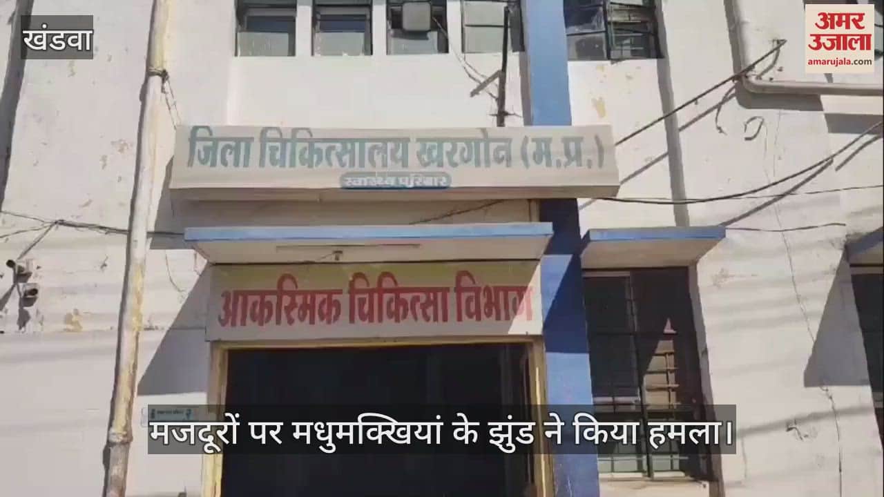 A swarm of bees attacked workers going to work, 5 injured in Khargone