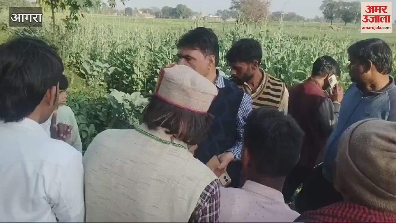VIDEO : Video of Naib Tehsildar who reached the village on complaint goes viral