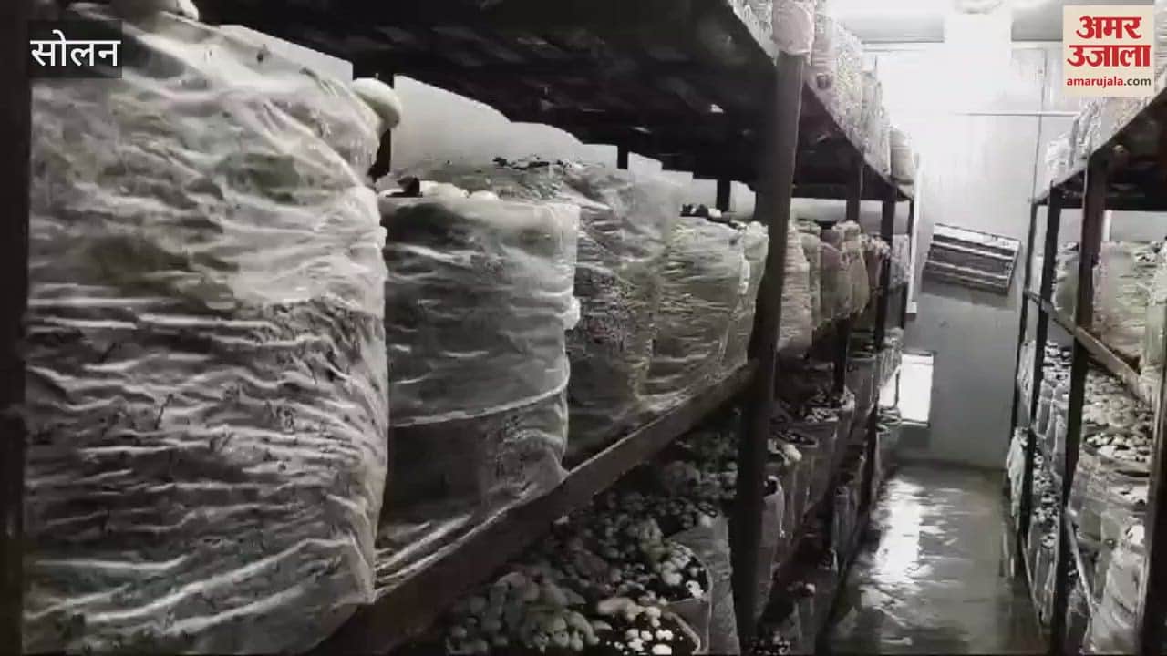 VIDEO : Director General of Indian Council of Agricultural Research, Dr. Himanshu Pathak inspected Mushroom Research and Directorate Solan