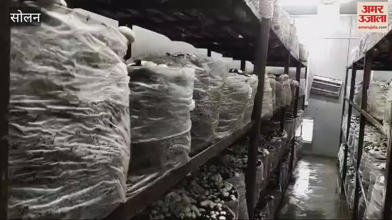 VIDEO : Director General of Indian Council of Agricultural Research, Dr. Himanshu Pathak inspected Mushroom Research and Directorate Solan