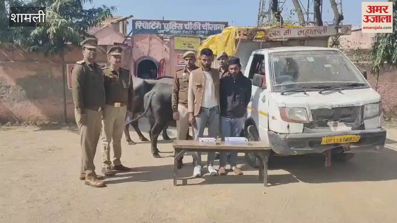 VIDEO : Shamli: Animal theft gang busted, two arrested