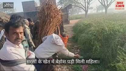 VIDEO : औरैया में सरसों के खेत में बेहोश पड़ी मिली महिला, चार लोगों पर मारपीट कर फेंकने का आरोप
