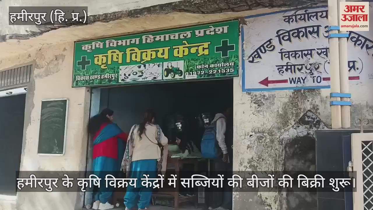 VIDEO : Sale of vegetable seeds started in agricultural sales centers of Hamirpur