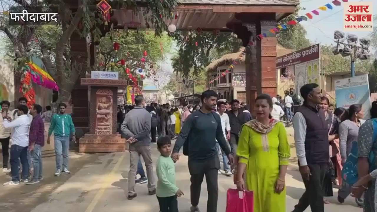 VIDEO : ourists made huge purchases in Surajkund fair