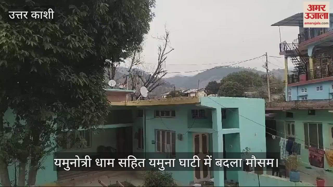 VIDEO : Weather changed in Yamuna valley cloudy with cold winds