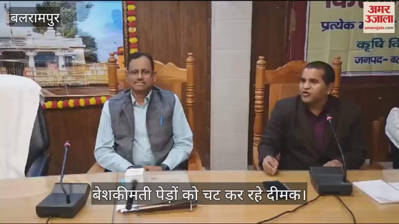 VIDEO : Balrampur: बेशकीमती पेड़ों को चट कर रहे दीमक, बताएं उपाय, किसान दिवस की बैठक में उठा मुद्दा