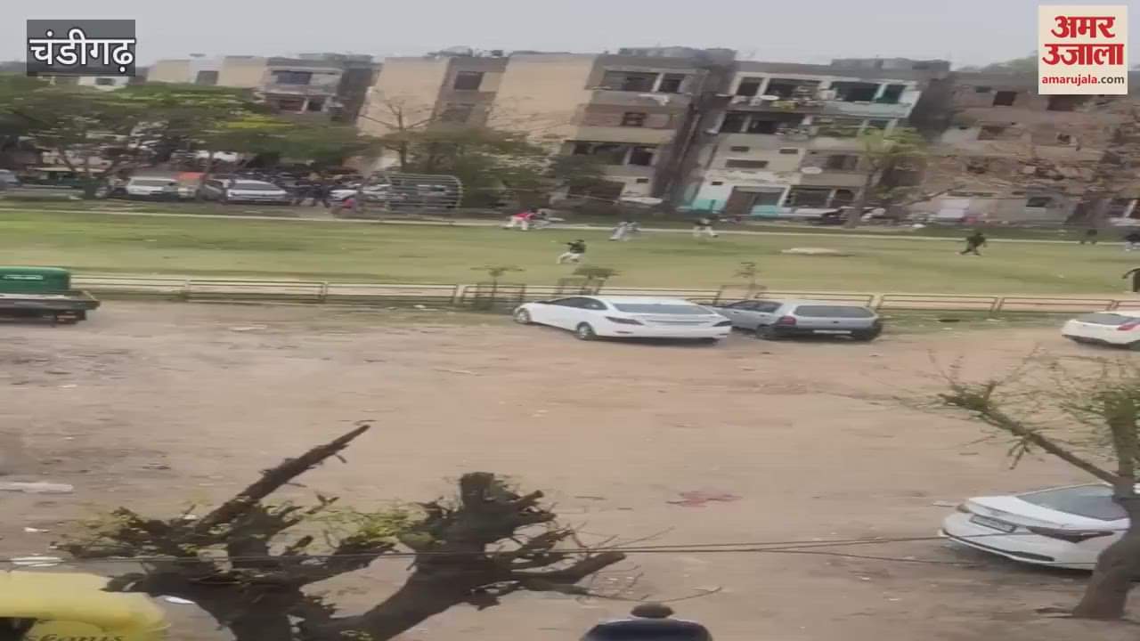 VIDEO : Two groups clashed in a park in Chandigarh, threw stones and brandished knives
