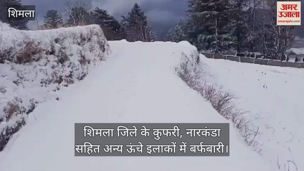 VIDEO : Snowfall in Kufri, Narkanda and other high altitude areas of Shimla district