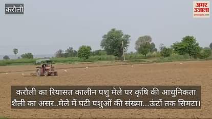 Karauli News effect of modern style of agriculture on cattle fair of princely era number of animals decreased