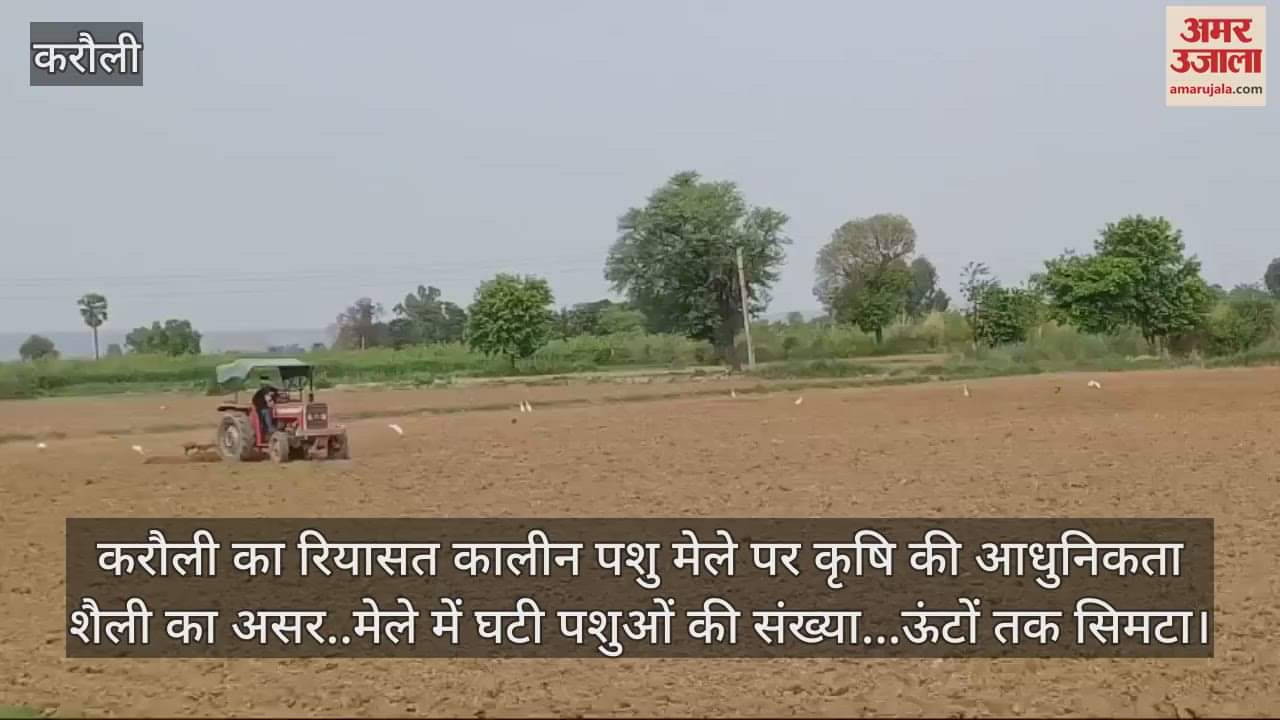 Karauli News effect of modern style of agriculture on cattle fair of princely era number of animals decreased