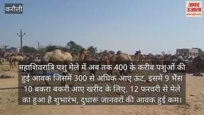 Till now around 400 animals have arrived in the Mahashivratri cattle fair