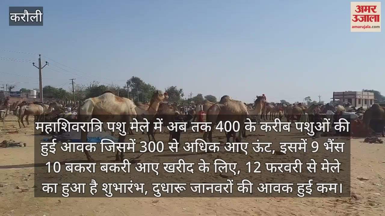 Till now around 400 animals have arrived in the Mahashivratri cattle fair