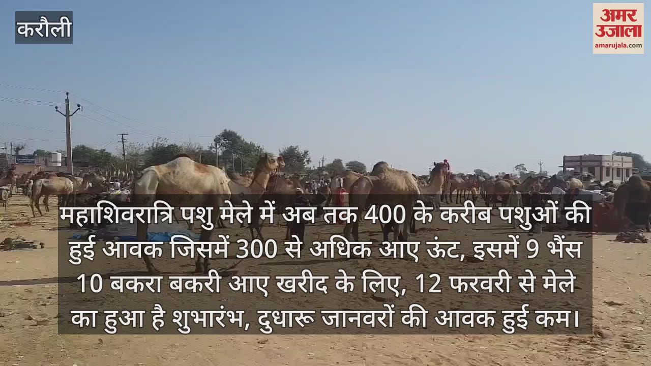 Till now around 400 animals have arrived in the Mahashivratri cattle fair
