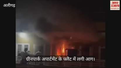 VIDEO : ग्रीनपार्क अपार्टमेंट के फ्लैट में लगी आग