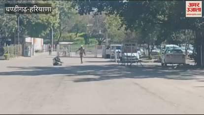 VIDEO : Bees create havoc in Haryana secretariat