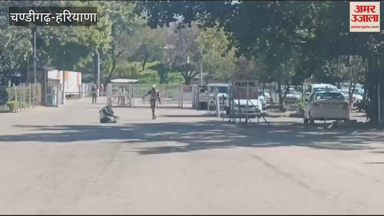 VIDEO : Bees create havoc in Haryana secretariat