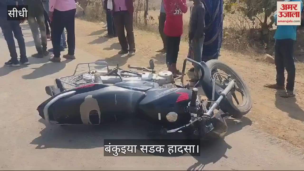 4 died in road accident in Rewa