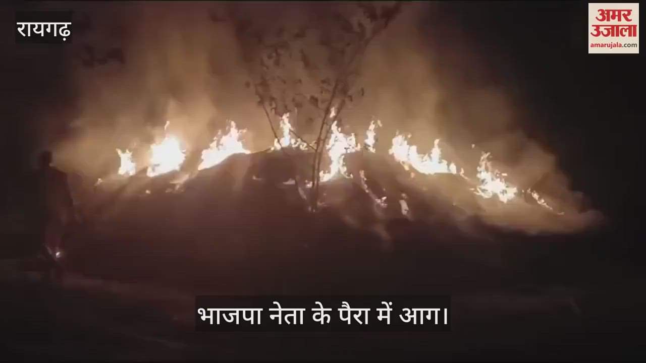 VIDEO : Due to enmity in Raigarh BJP leader paravat was set on fire paravat burnt to ashes